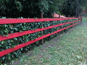 Vivenda dos Guaranys -Um projeto ecológico - Casa