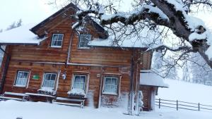 Ferienhaus Bichlhütte