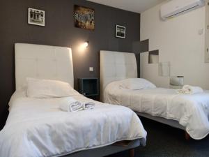 Hotels Astrotel Romorantin-Lanthenay : Chambre Lits Jumeaux