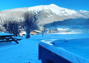 Appartements Chalet Rosalie : photos des chambres