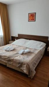 Luxury Apartment in Belvedere Club Hotel