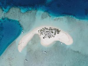 Oceana Boutique by Maldives Fellas