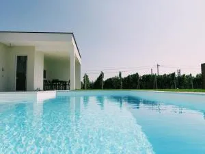 olive tree house - Do