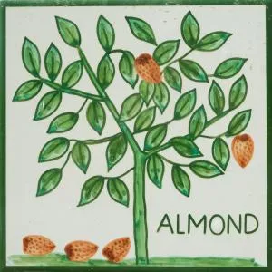 Casa Monte Cristo Apartments - Almond - Falfeira
