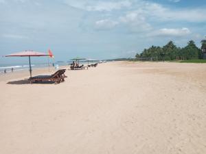 Tharul Home