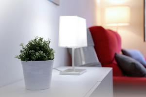 Apto Turístico Plaza del Mercado 1.2