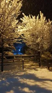 The Green Lake House - Valnegra