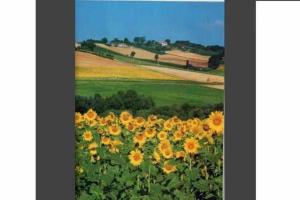 CASA LELLA Monte San Pietrangeli