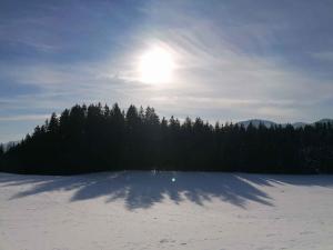 Immenstadt im Allgau Holiday Home 2