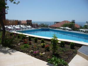 Guest House Amor