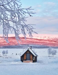 Arctic Land Adventure Glass Igloos