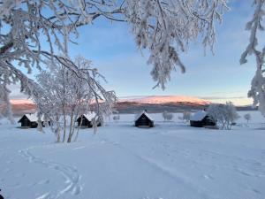 Arctic Land Adventure Glass Igloos