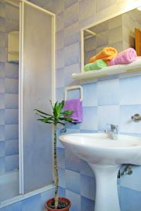 Apartment Palma RAC105