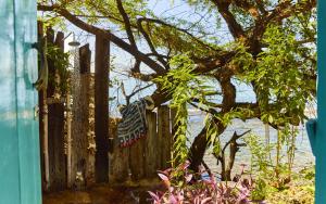 Calabash Bay P A, Treasure Beach, St Elizabeth, Jamaica.