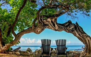 Calabash Bay P A, Treasure Beach, St Elizabeth, Jamaica.