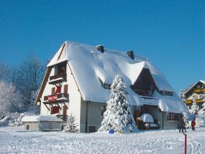 Apartment Hottenroth-1