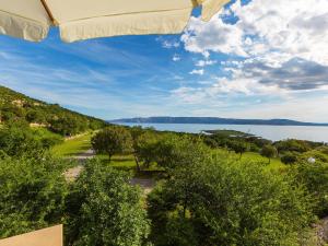 Apartment Cvit 1 by Interhome