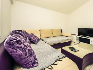 Apartment Mirjana-1 by Interhome 