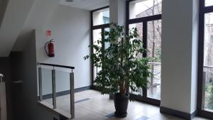 Apartament Wielopole 17