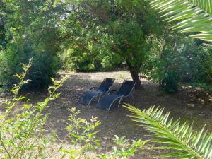 Appartements Apartment Residence Le Clos des Lavandes by Interhome : photos des chambres