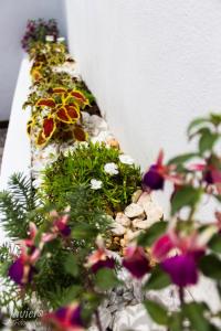LOFTS en Cuernavaca con alberca climatizada