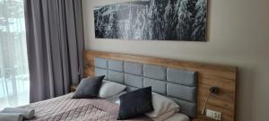 Aparthotel Czarna Góra 419