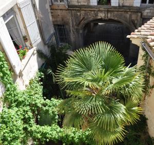 Appartements Arelate Sejour : photos des chambres