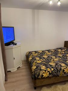 Casa Alex