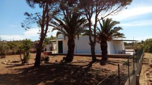 Liama 1 bilocale con vista mare nel Salento