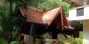 Wild View Stay