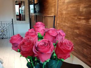 Einaudi 56 Guest House img20