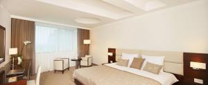 Deluxe Double or Twin Room room in Hotel Aristos