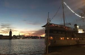 Cozy city apartment in heart of Sdermalm