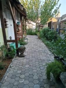 Somborski salas - strogi centar