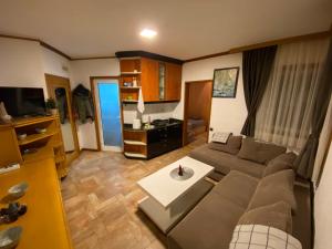 Vila Plan 303 Kopaonik