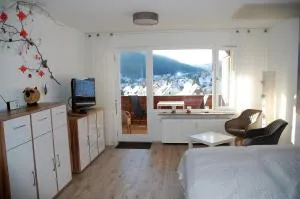 Ferienwohnung mit Aussicht - انزكلوسترل