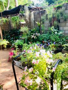 Ossa home stay