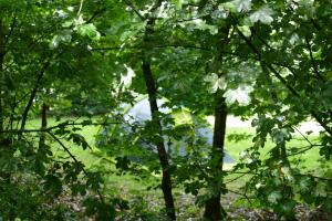 Camping Alkenhaer Appelscha Lege Kampeerplaats