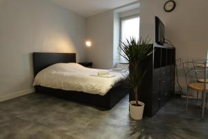 Appartements Meilh - Studio cosy tout equipe 10 min centre ville : photos des chambres