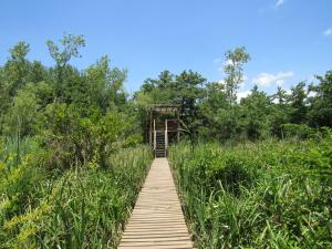 Cabaña en el Delta Arroyo Pajarito a 20 minutos de navegación