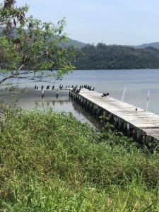 Plumeria Guest House