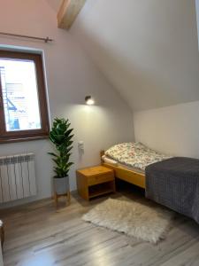 Domek MAYA Górska Chata - 200m od stoków Kotelnica i Termy Bania