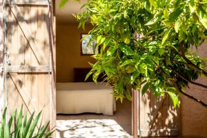 Villas Residence Les Toits de Santa Giulia : photos des chambres