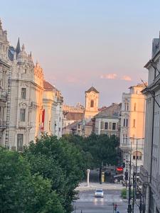 Central Budapest Apartment VÁCI UTCA