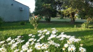 Casa de campo Las olivas