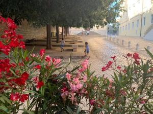 Feel the City Atmosphere Rovinj