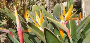 Appartements Casa di a Murza : photos des chambres