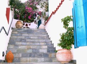 Stella Studios Poros-Island Greece