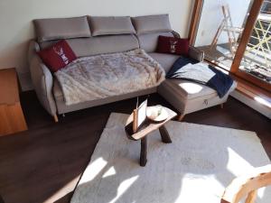 Appartements Superbe 2 pcs cabine terrasse vue feerique pistes et montagnes : Appartement 1 Chambre