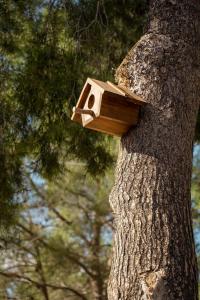Eco hotel Aire de Monte